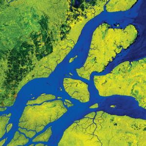 Amazon River Delta Sentinel-1