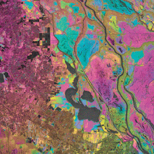 Water-level changes over swamp forest in southeastern Louisiana are revealed in this interferogram, created using ALOS PALSAR data acquisitions of January 29 and March 16, 2007. Each interferogram fringe (a full cycle of colors) represents a water-level change of about 13 cm. The interferogram suggests that water-level changes are dynamic, spatially heterogeneous, and disconnected by structures and barriers. Credit: Zhong Lu, USGS, Includes Material © JAXA, METI 2007