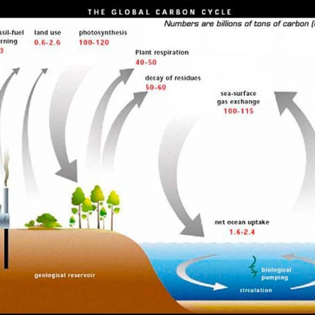 The global carbon cycle is the complex interaction of different carbon-based gases taking place among Earth’s atmosphere, land, and oceans.