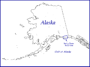 The Bering Glacier on a map of Alaska. Computer Graphic by Donna Sandberg.