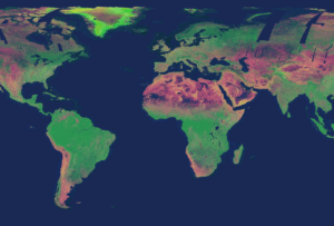 Image from Sentinel-1 reveal changes in the Earth's surface over one year